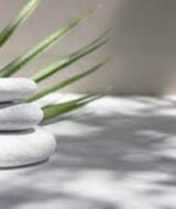 Book an Appointment with Stephen Macquignon at Omni Wellness NYC