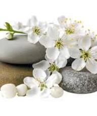 Book an Appointment with Dawn Reed for Massage Therapy
