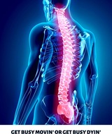 Book an Appointment with Dr. Ralph Napolitano at Dr. Ralph Napolitano - The Bronx Chiropractor