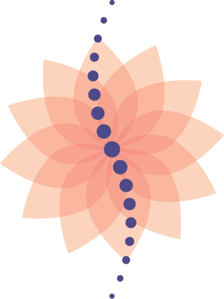 Osteopractic Physical Therapy Clinic of Wichita LLC