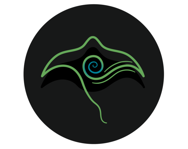 Flow State Sport Therapy