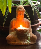 Book an Appointment with Glow Staff at Madison Valley