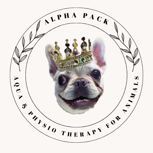 Alpha Pack, Aqua and Physio Therapy for Animals