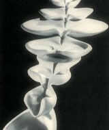 Book an Appointment with Emi Arimura at Los Angeles