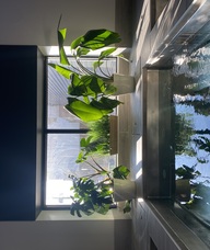 Book an Appointment with Recovery Lounge for Recovery Lounge