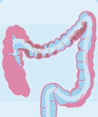 Book an Appointment with Colon Hydrotherapy Room for Colonics