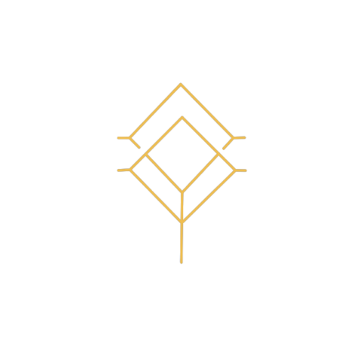 State of Flow Chiropractic